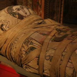 Múmias expostas em exibição gratuita em Londres