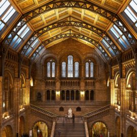 As maravilhas do Museu de História Natural de Londres