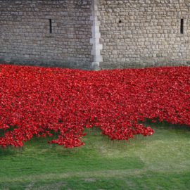 Uma data comemorativa diferente – conheça o Remembrance day em Londres!